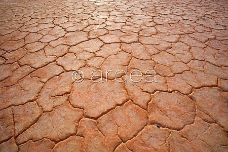 dried up earth