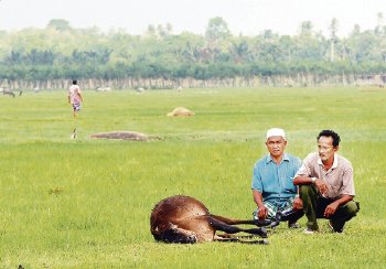 farmerinsurance