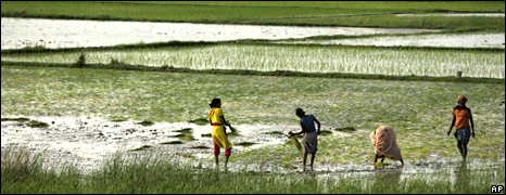 india water