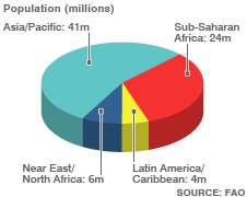 worldfoodcrisis